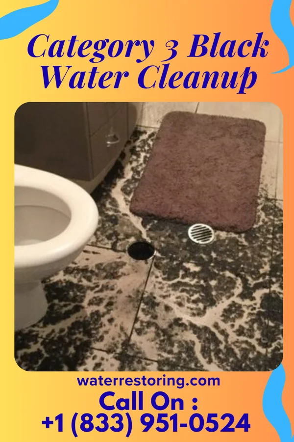 Category 3 Black Water Cleanup in Black Sands, HI