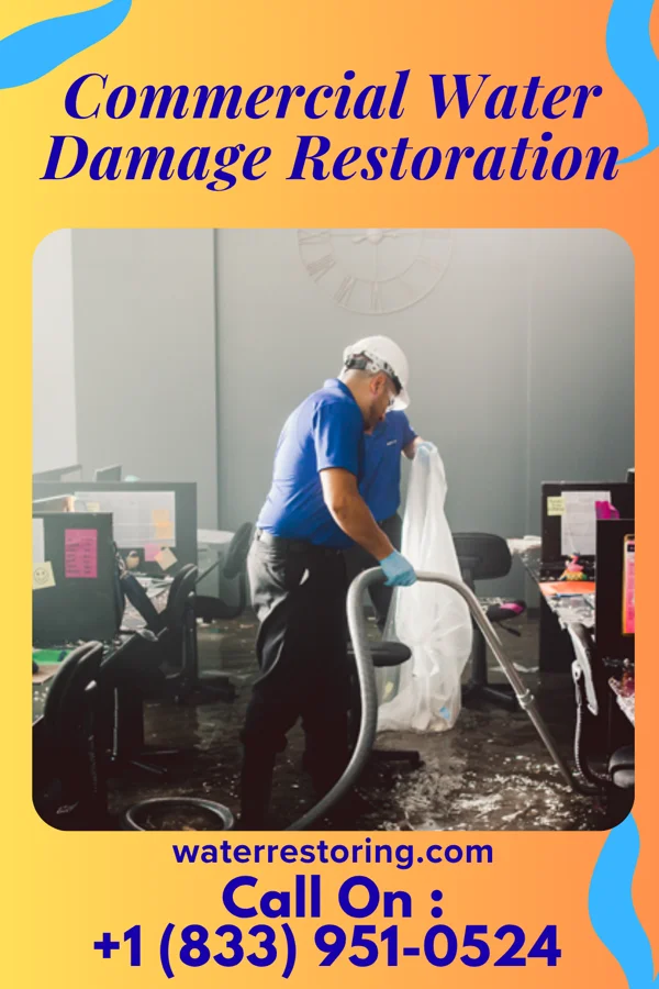 Commercial Water Damage Restoration in Black Sands, HI