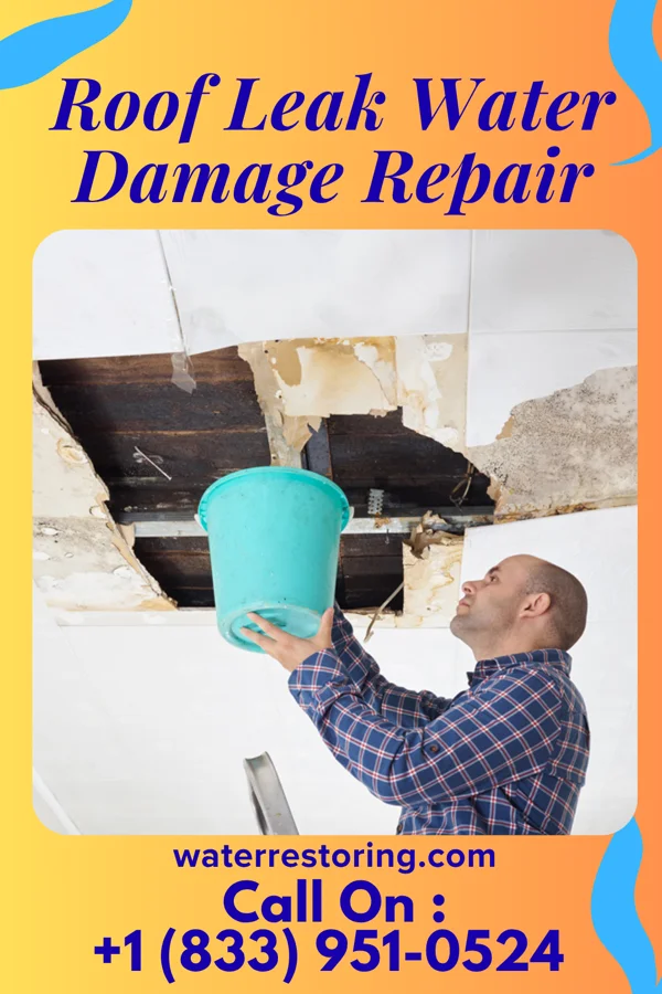 Roof Leak Water Damage Repair in Black Sands, HI