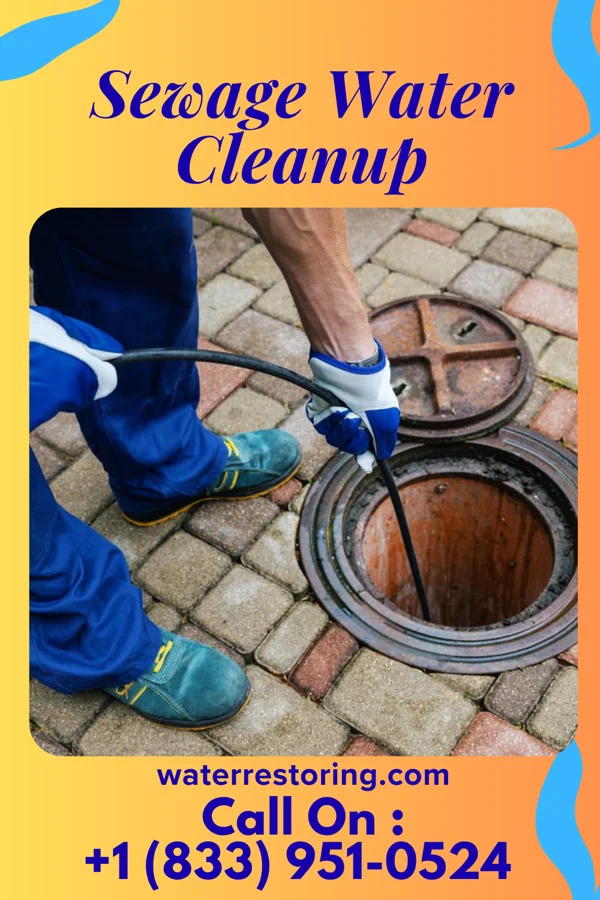 Sewage Water Cleanup in Black Sands, HI